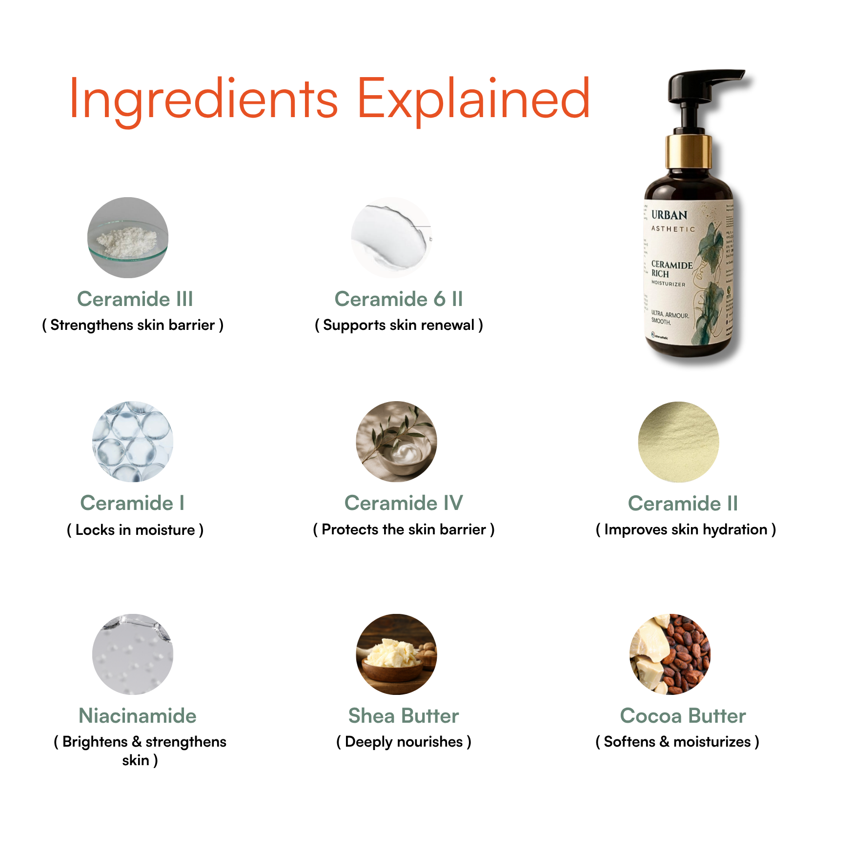 Ceramide Rich Moisturizer