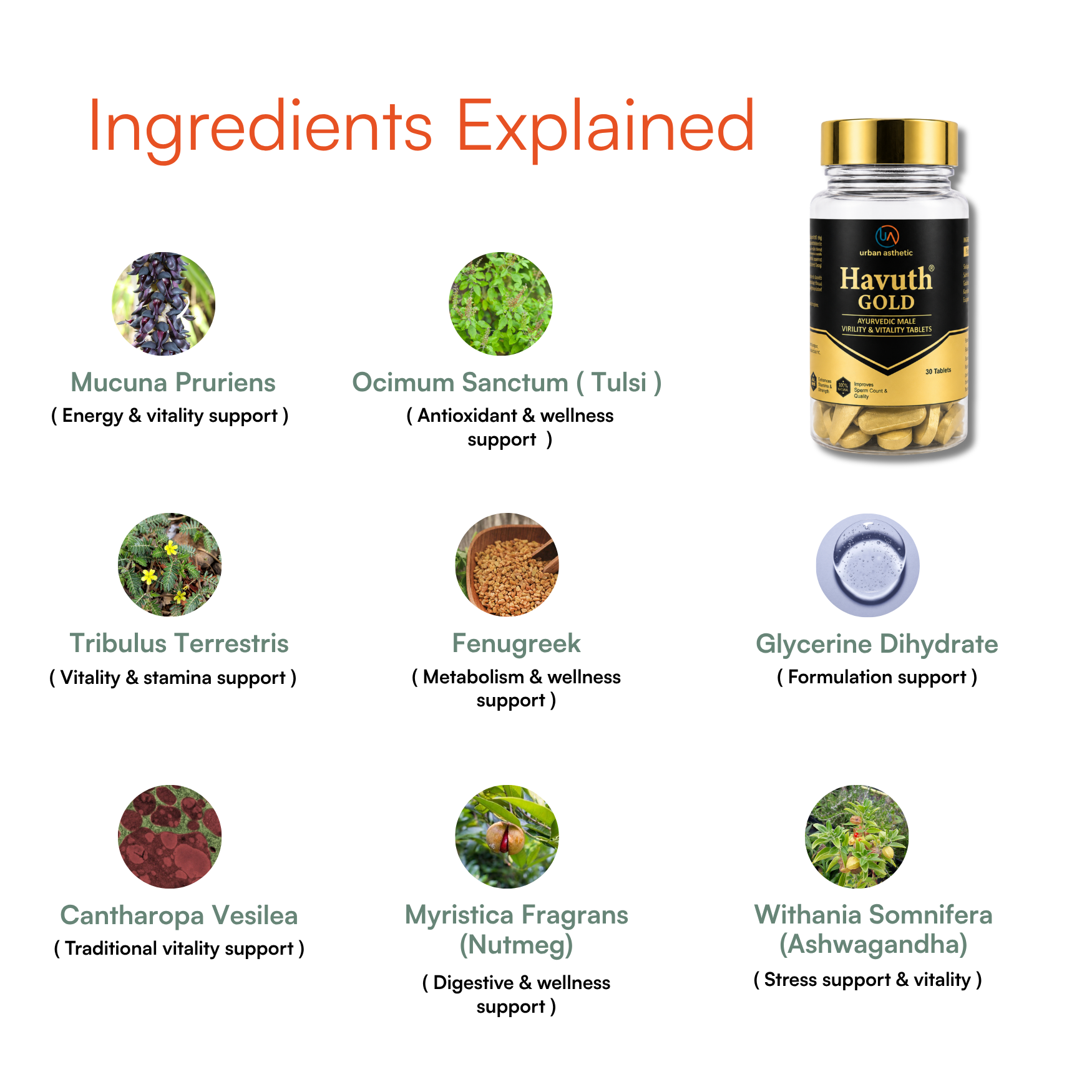 Havuth Gold Ayurvedic Male Vitality Tablets