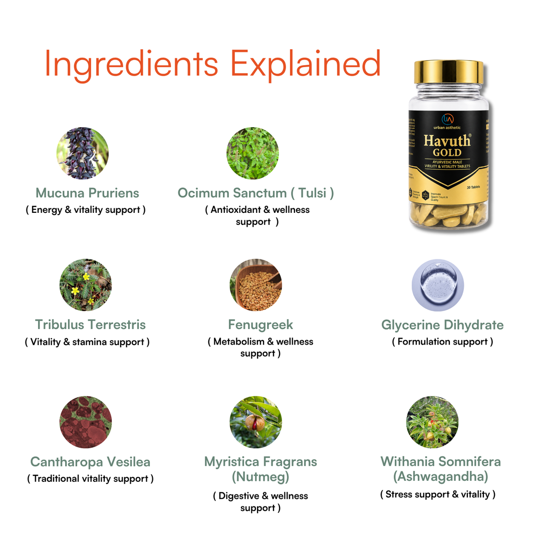Havuth Gold Ayurvedic Male Vitality Tablets