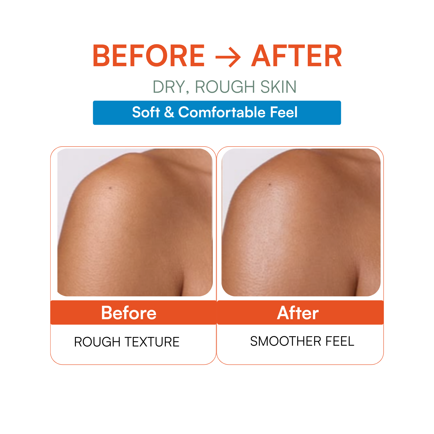 Oat Milk Rich Body Lotion